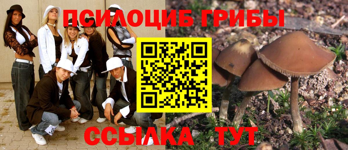 Псилоцибиновые грибы Psilocybine cubensis  Галлюциногенные грибы Psilocybine cubensis  Топки  Вход с VPN 